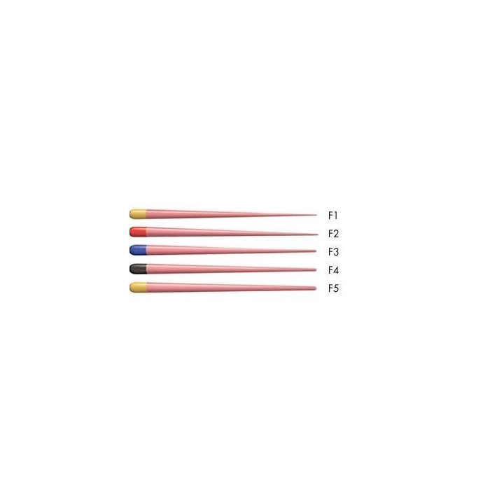 Gutaperka ProTaper / 60 szt.