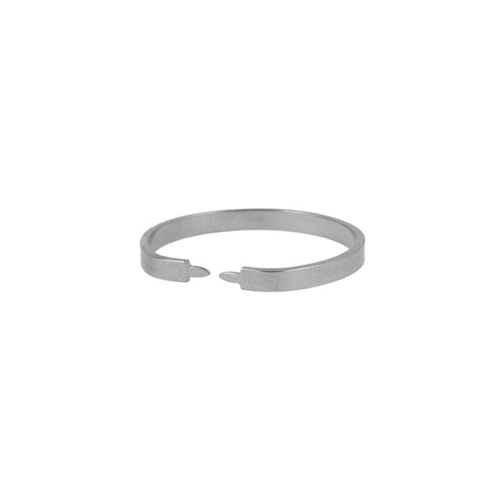 Ring clamp for perforated dies