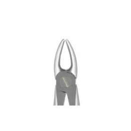 Berten extraction forceps fig. 2 upper front