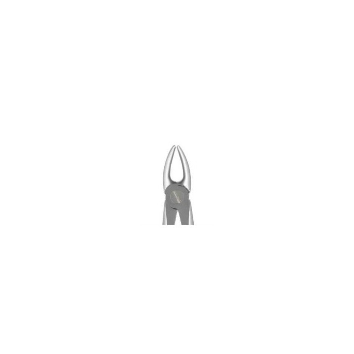Berten extraction forceps fig. 2 upper front