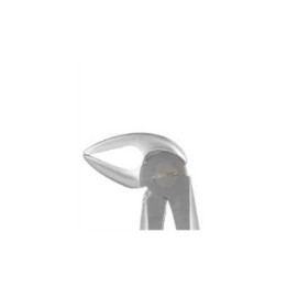 Berten extraction forceps fig. 33A lower roots