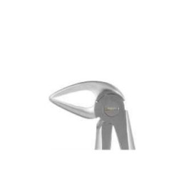 Berten extraction forceps fig. 33L lower roots