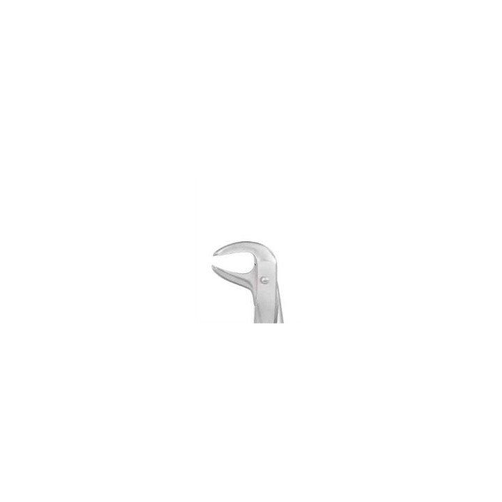 Berten extraction forceps fig. 73 lower molar