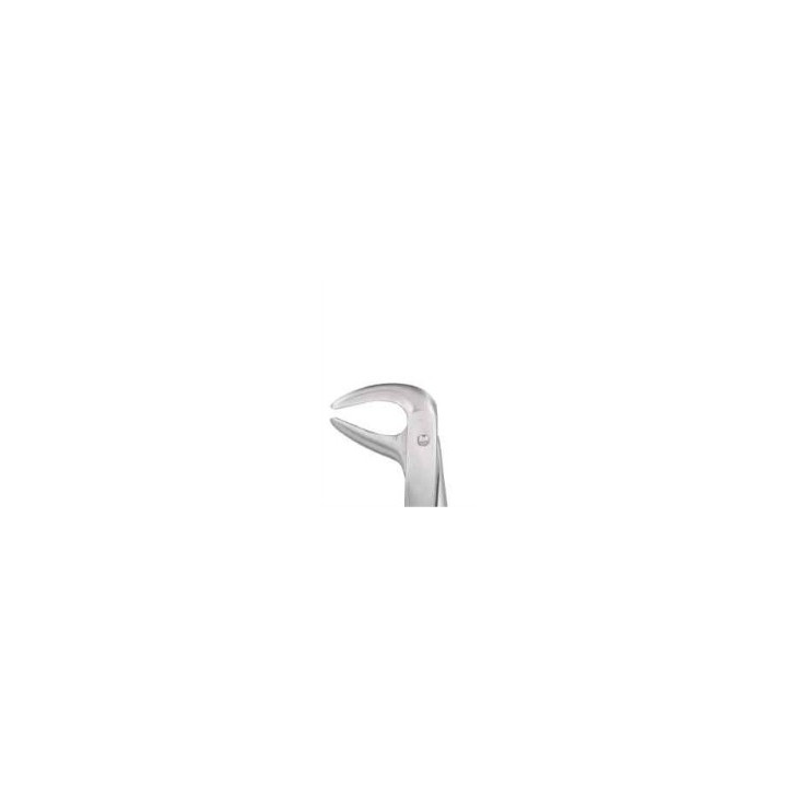 Berten extraction forceps fig. 75 lower premolars