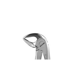 Berten extraction forceps fig. 33S for lower roots for children