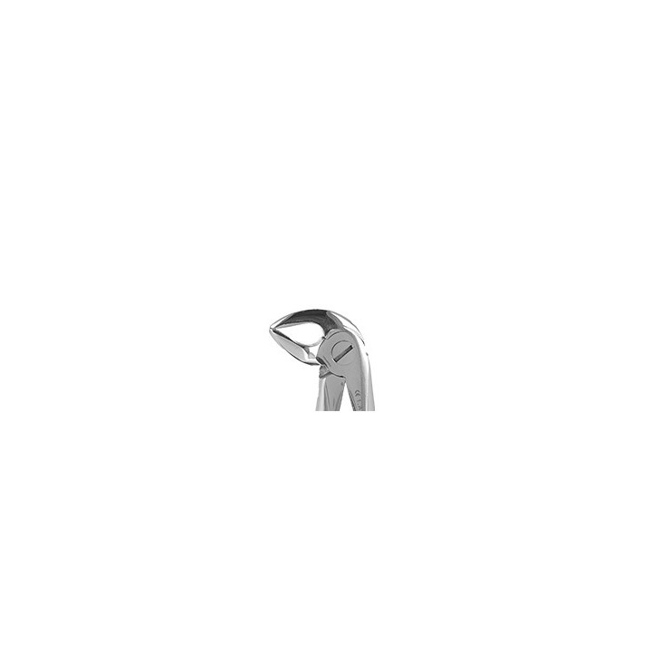 Berten extraction forceps fig. 33S for lower roots for children