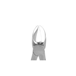 Berten extraction forceps fig. 55