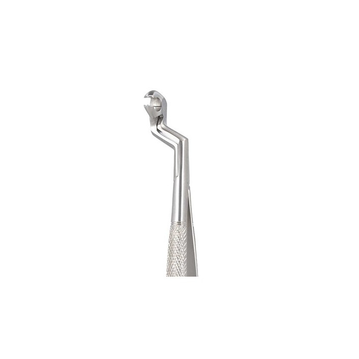 Routurier extraction forceps - 22 left