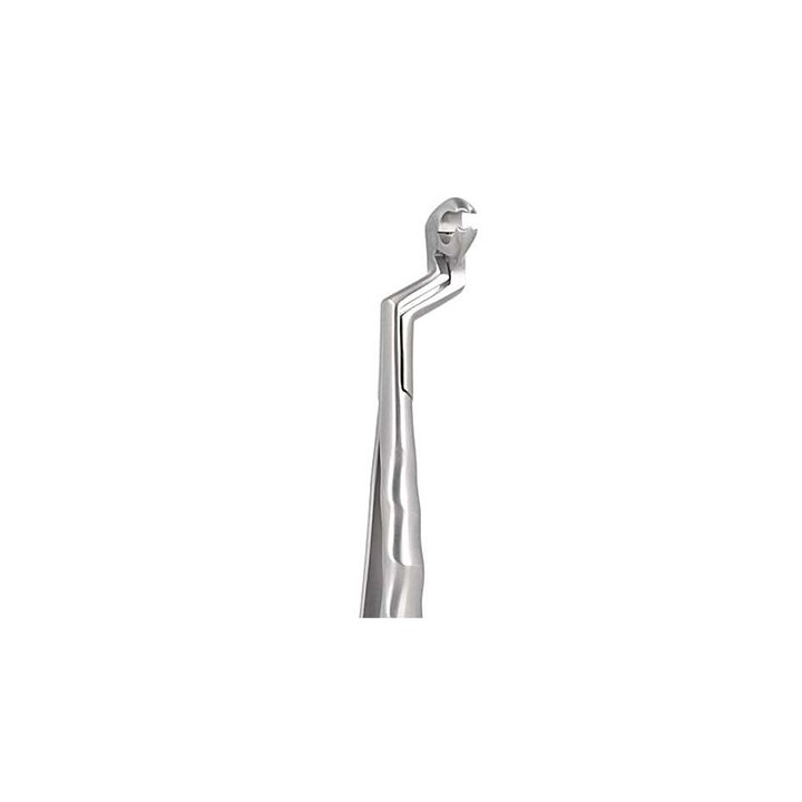 Anatomical Routurier extraction forceps - 22 right