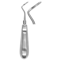 Flohr root lever left