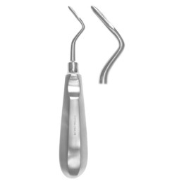Flohr root lever right