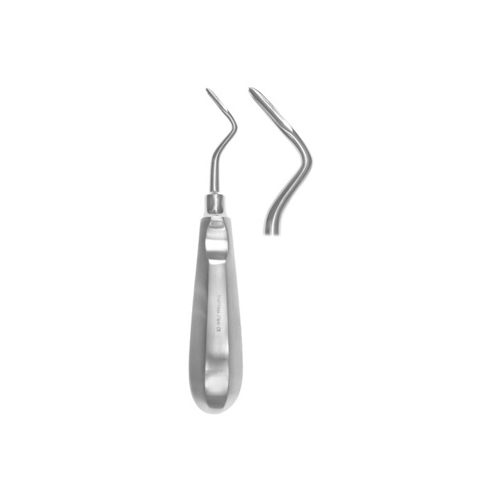 Flohr root lever right