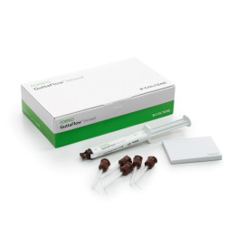 GuttaFlow Bioseal Intro Kit