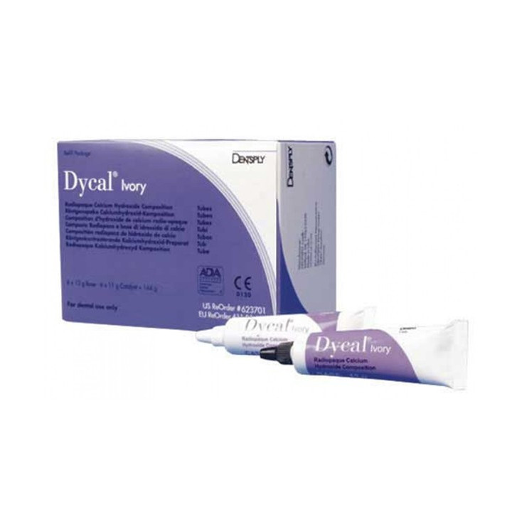 Dycal (IVORY / DENTIN) / 13g + 11g