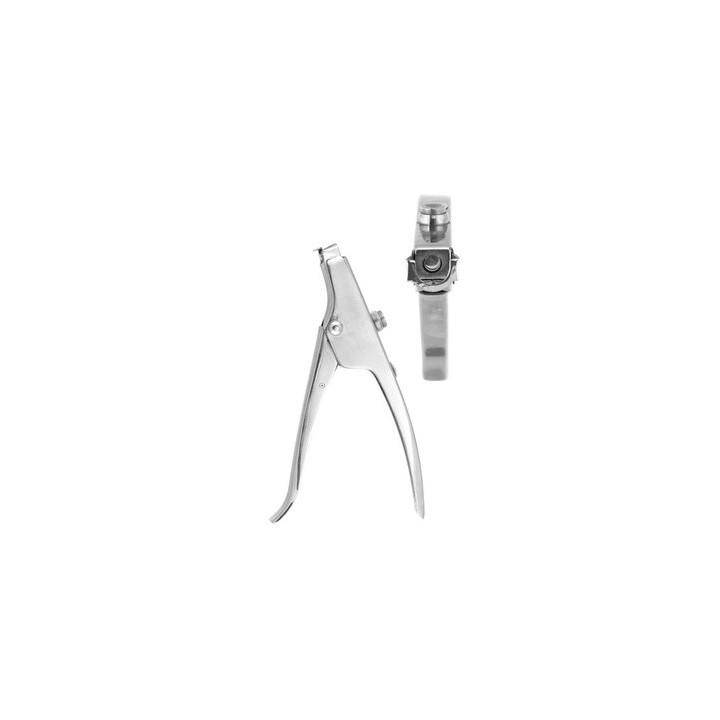 Glossy capsule applicator