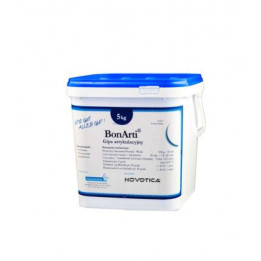 Gips Bonarti Extra Biały 5 kg – typ II