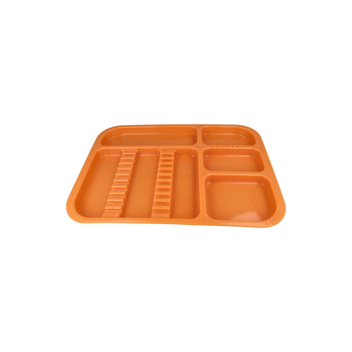 Dental plastic tray for autoclaving 34 × 24.5 × 2 cm