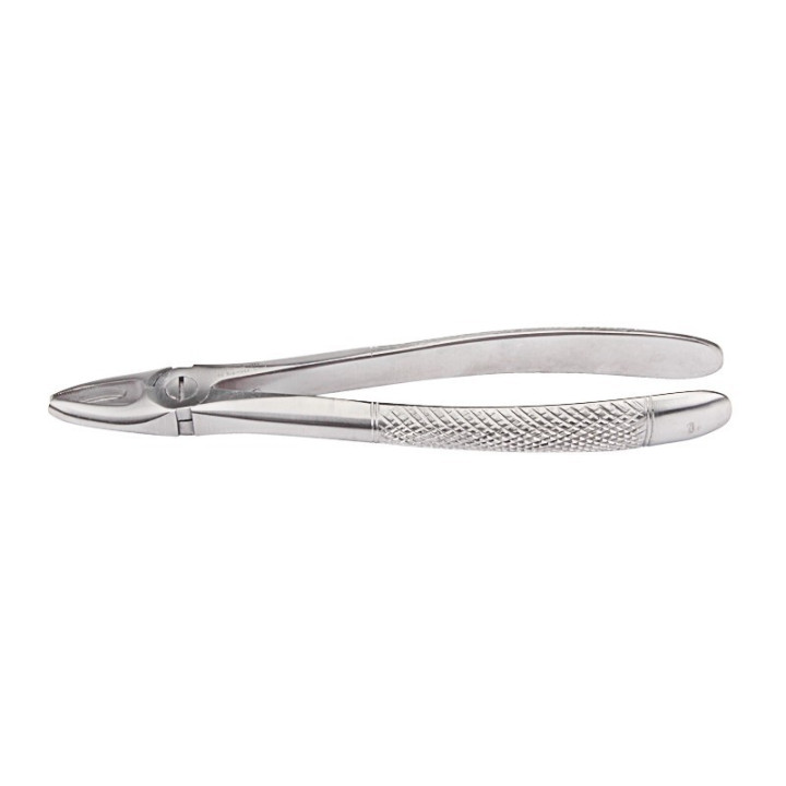 Berten tongs fig. 1 upper incisors and fangs