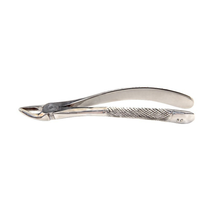 Berten pincers 30 upper roots