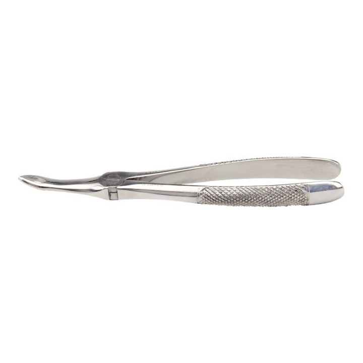 Berten pliers fig. 49 b. Thin upper roots